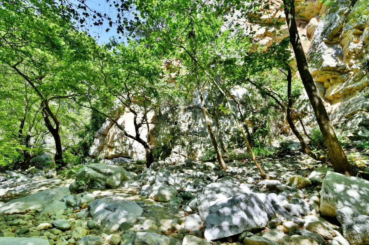 Mylopotamos Beach House Εξωτερικό φωτογραφία